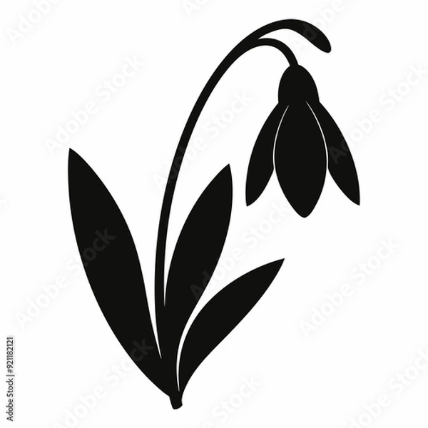 Obraz Snowdrop Black silhouette