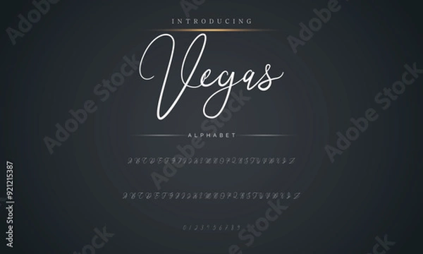 Fototapeta Calligraphy Signature Font Handwritten script brush font type for logotypes