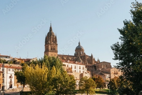 Fototapeta A beautiful city with a large cathedral and a tree-lined street
