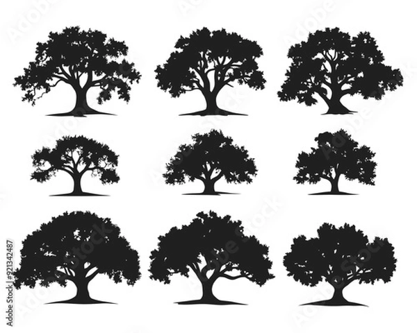 Fototapeta set of silhouette clipart of a large oak tree, Big collection of tree silhouettes isolated