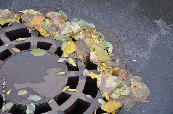 Obraz The storm drain is clogged with fallen autumn leaves