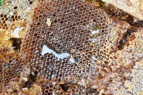 Obraz honeycombs with wild bees honey