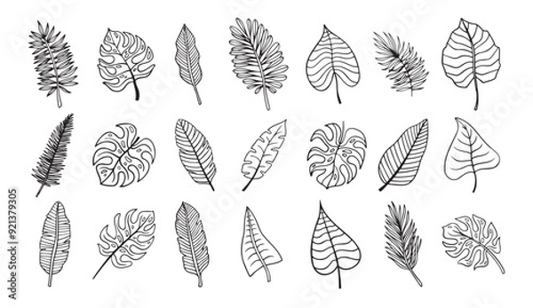 Fototapeta Botanical hand drawn exotic leave. Tropical palm leave sketch, isolated linear doodle style. 