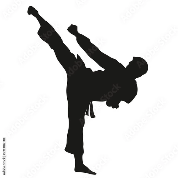 Fototapeta Karate in vector, flat style. Sportsman in vector.
