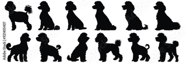 Fototapeta Poodle silhouettes set, dog pack of vector silhouette design, isolated background