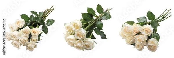 Fototapeta Untitled design - A set of White roses from a wedding bouquet separated and elegantly isolated on a transparent background (3)
