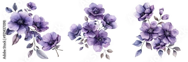 Fototapeta Untitled design - A set of Single hand drawn watercolor purple flower with leaves isolated on a transparent background (3)