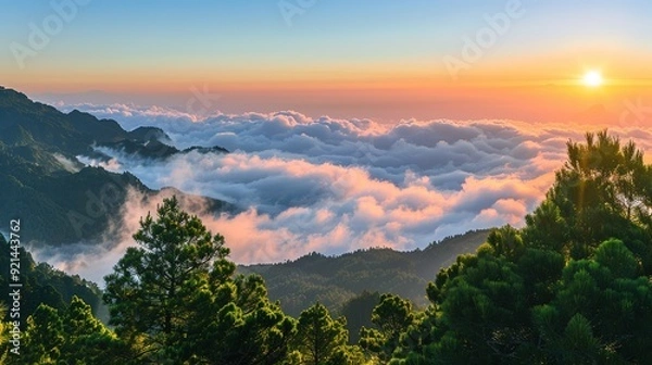 Fototapeta Landscape View Of Mountains And The Sea Of Clouds With Sunset At Eryanping Trail, Alishan National Scenic Area, Xiding, Chiayi,Taiwan