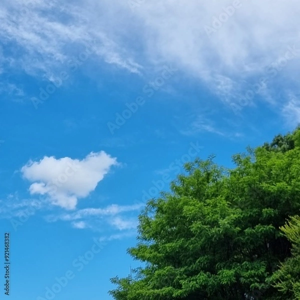 Fototapeta 하트 구름이 만들어진 어느 날