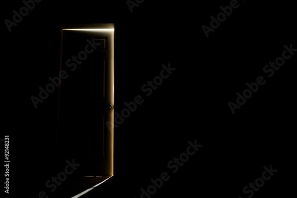 Obraz Closed door with light fall of.