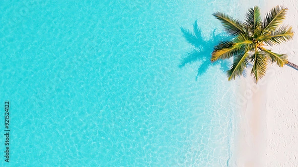 Fototapeta A palm tree is on a beach with the ocean in the background