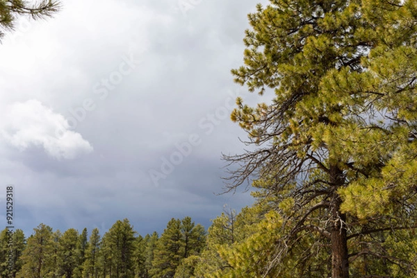 Fototapeta Mountains and clouds