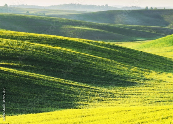 Fototapeta hilly field