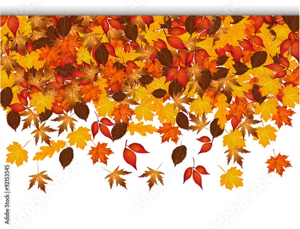 Obraz Autumn leaves falling from top