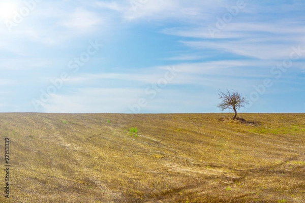 Obraz Sun over the Hill