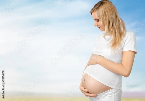 Obraz Human Pregnancy.