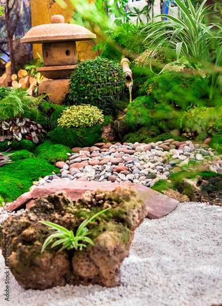 Fototapeta Minimal Japanese garden in home with small stone lantern and bamboo fountain and moss and flowers.
