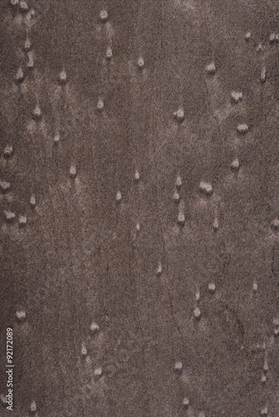 Obraz Essence de bois 2