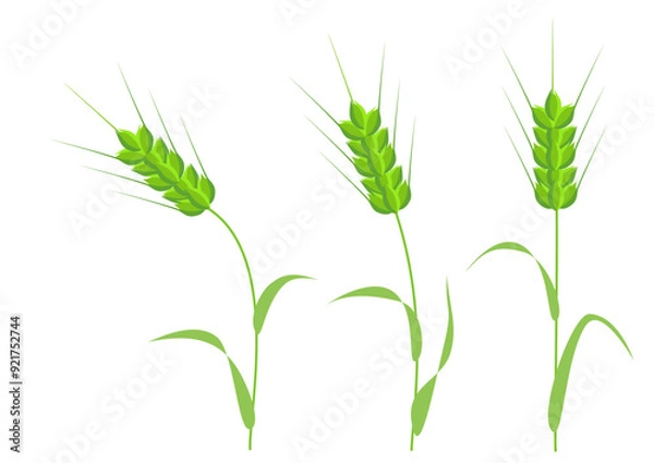 Obraz Clip art of three green wheat swaying in the wind