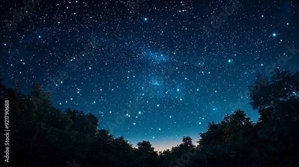 Obraz Starry Night Sky over Silhouetted Trees.
