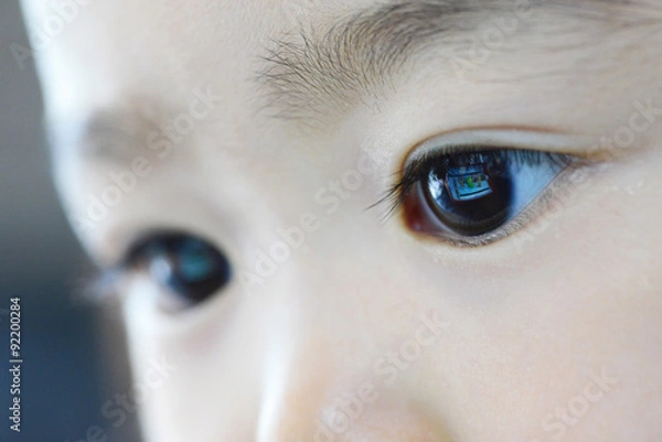 Obraz 真剣に見る