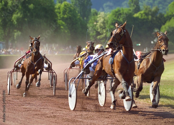 Obraz Trabrennen