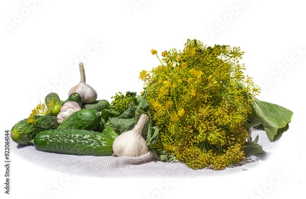 Fototapeta Fresh cucumbers, garlic and dill umbrellas on a white background. Ingredients for pickles for the winter