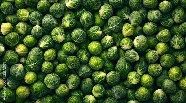 Obraz Fresh green brussels sprouts background, top view, close up