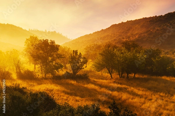 Obraz Dawn in Arcadia