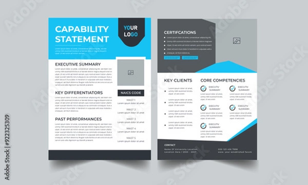 Obraz Capability Statement
