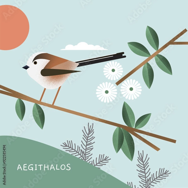 Fototapeta Long tailed tit, Aegithalos caudatus bird, perched on a branch, vector illustration
