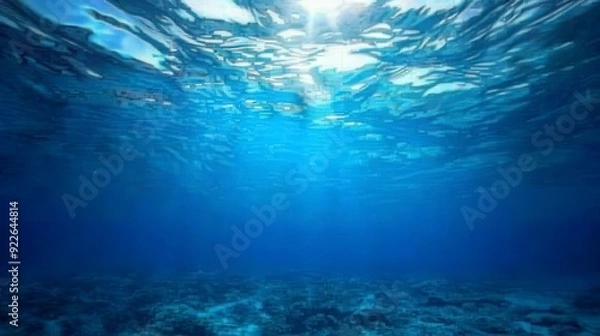 Obraz Underwater scene with sunlight filtering through water, creating a serene atmosphere.