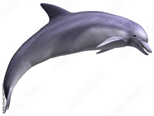 Obraz Skaczący Delfin