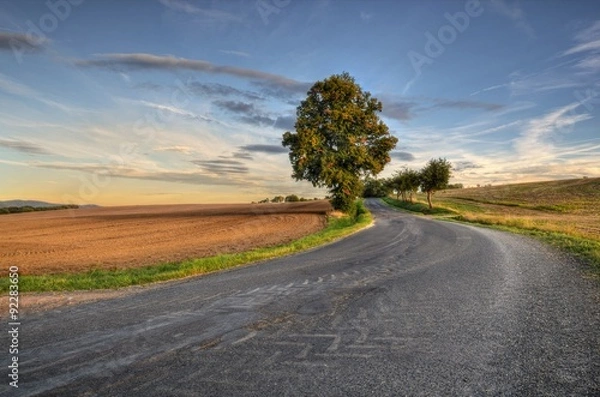 Fototapeta Road with curves
