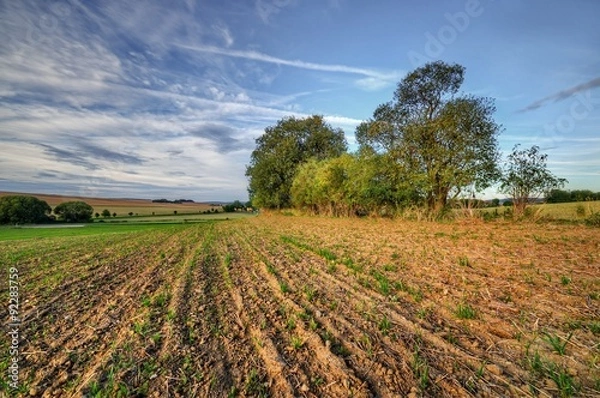 Fototapeta the field lines