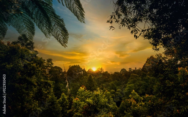 Obraz Beautiful sunset over tropical forest