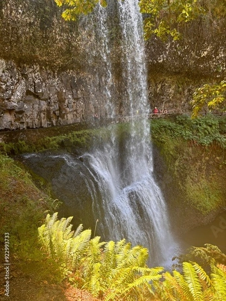 Obraz waterfall in the forest