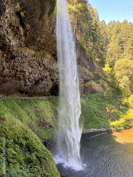 Obraz waterfall in the forest