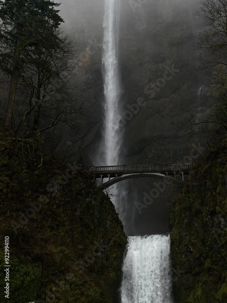 Obraz waterfall in the forest
