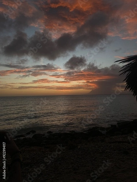 Obraz sunset on the beach