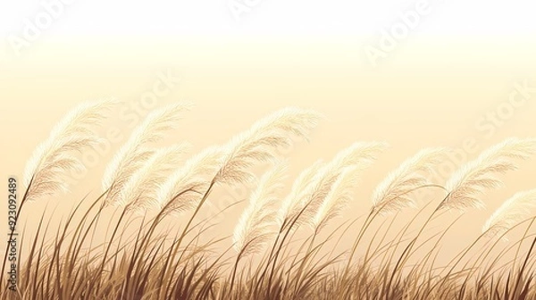 Fototapeta A field of tall grass swaying in the wind with a soft, warm light background.