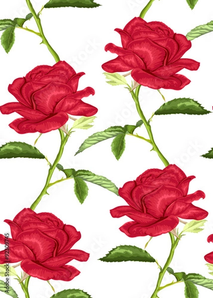 Fototapeta Beautiful seamless background with pink roses with stem and leaves on white background.