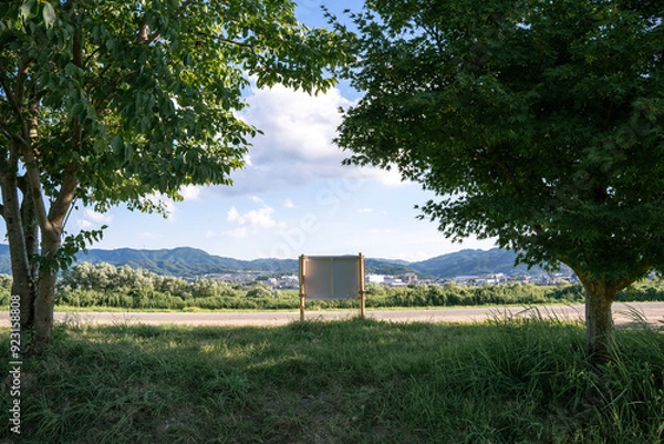 Obraz 日本の夏風景