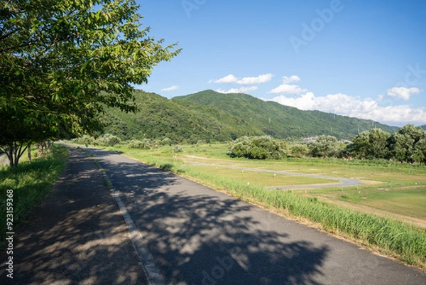 Obraz 日本の夏風景
