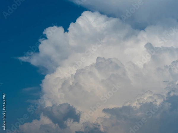 Fototapeta 夏の青空と積乱雲の風景