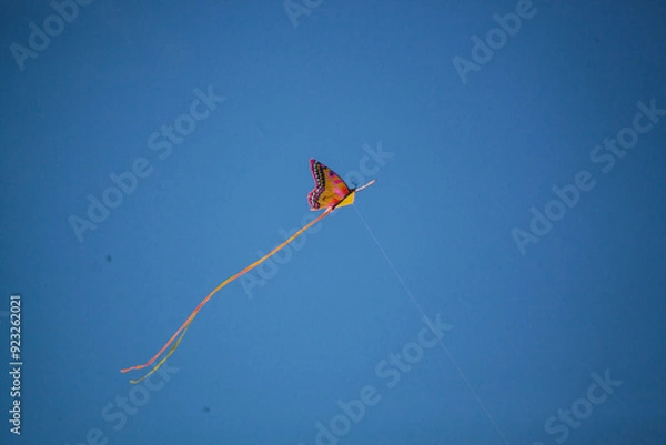 Obraz The Flying Butterfly Kite