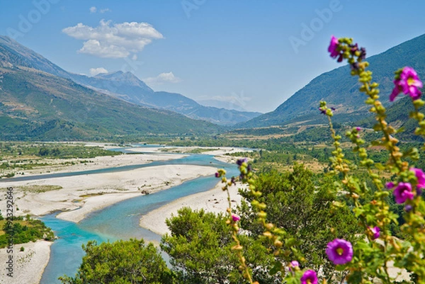 Obraz Vjosa river valley viewed from Tepelena