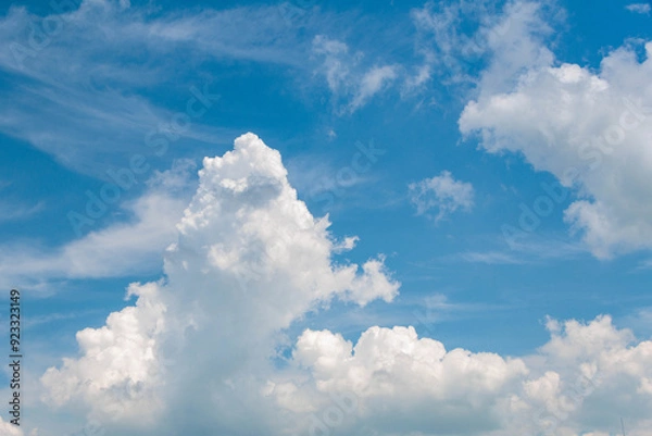 Fototapeta 夏の青空と白い雲