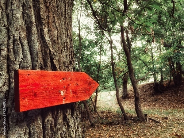 Fototapeta la giusta via