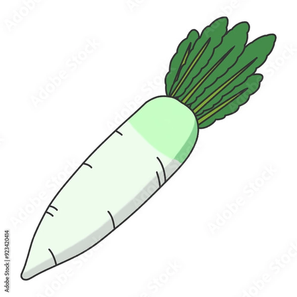 Obraz 大根　シンプル　イラスト